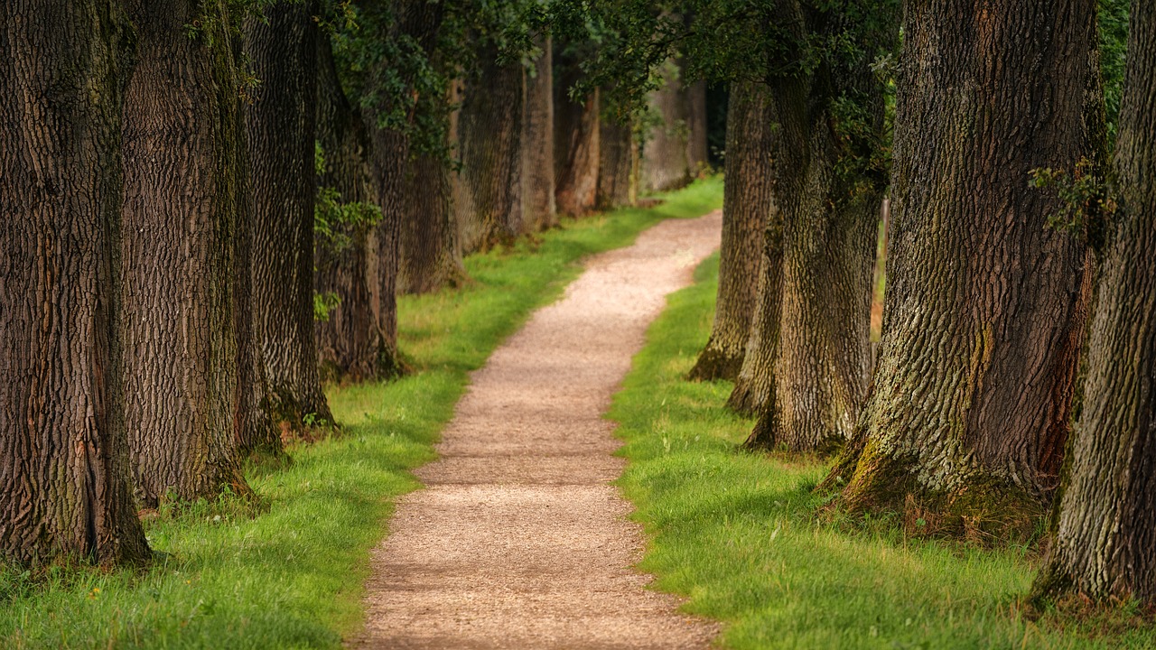 The Best Hiking Trails in the Catskills